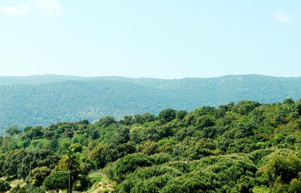 Cap Negre Hotel Le Lavandou Pokoj fotografie
